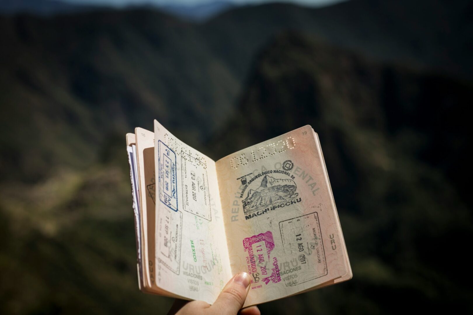 A person holding an open book with stamps on it.